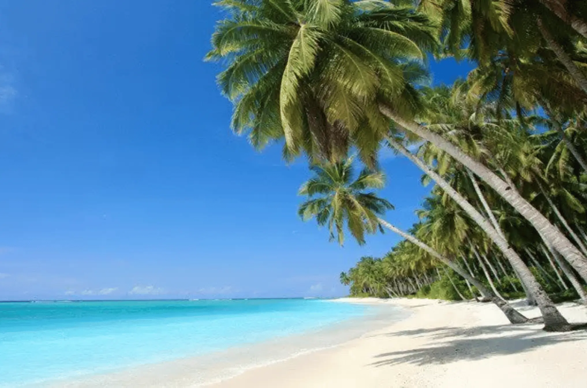 Andaman Island Explorer Tour Package