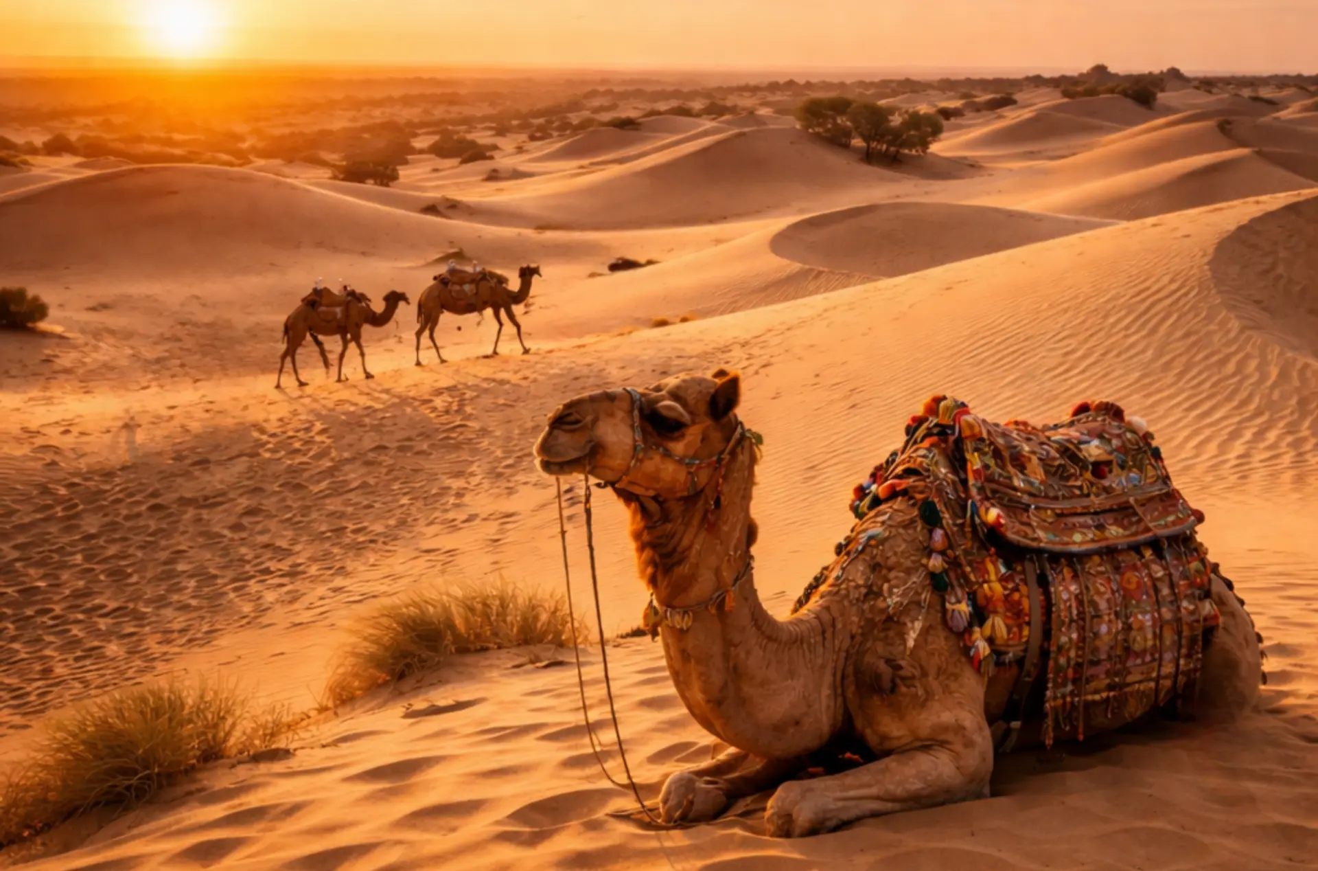 Grand Rajasthan Romantic Getaway