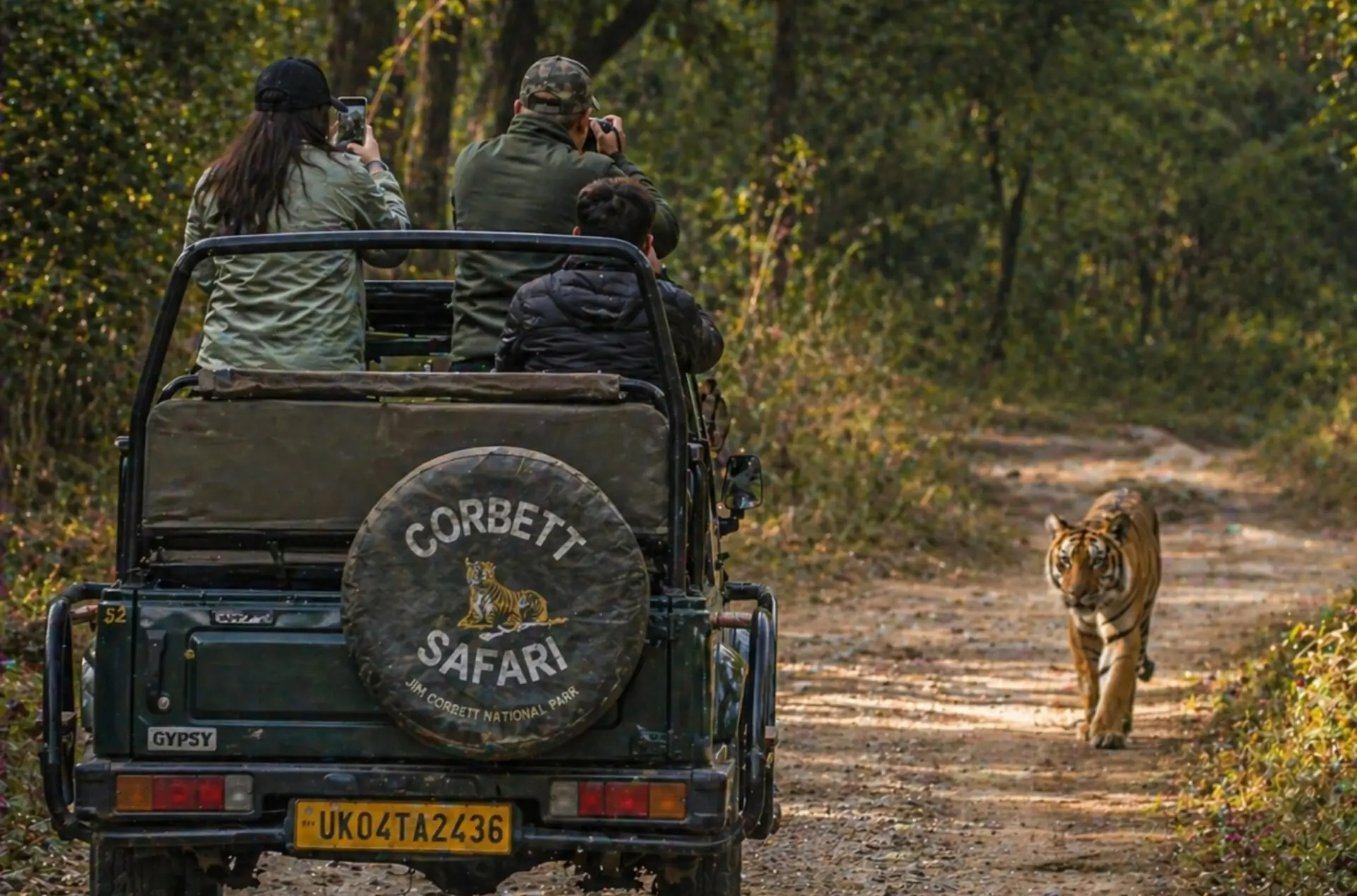 Romantic Mussoorie Nainital & Jim Corbett Honeymoon Tour