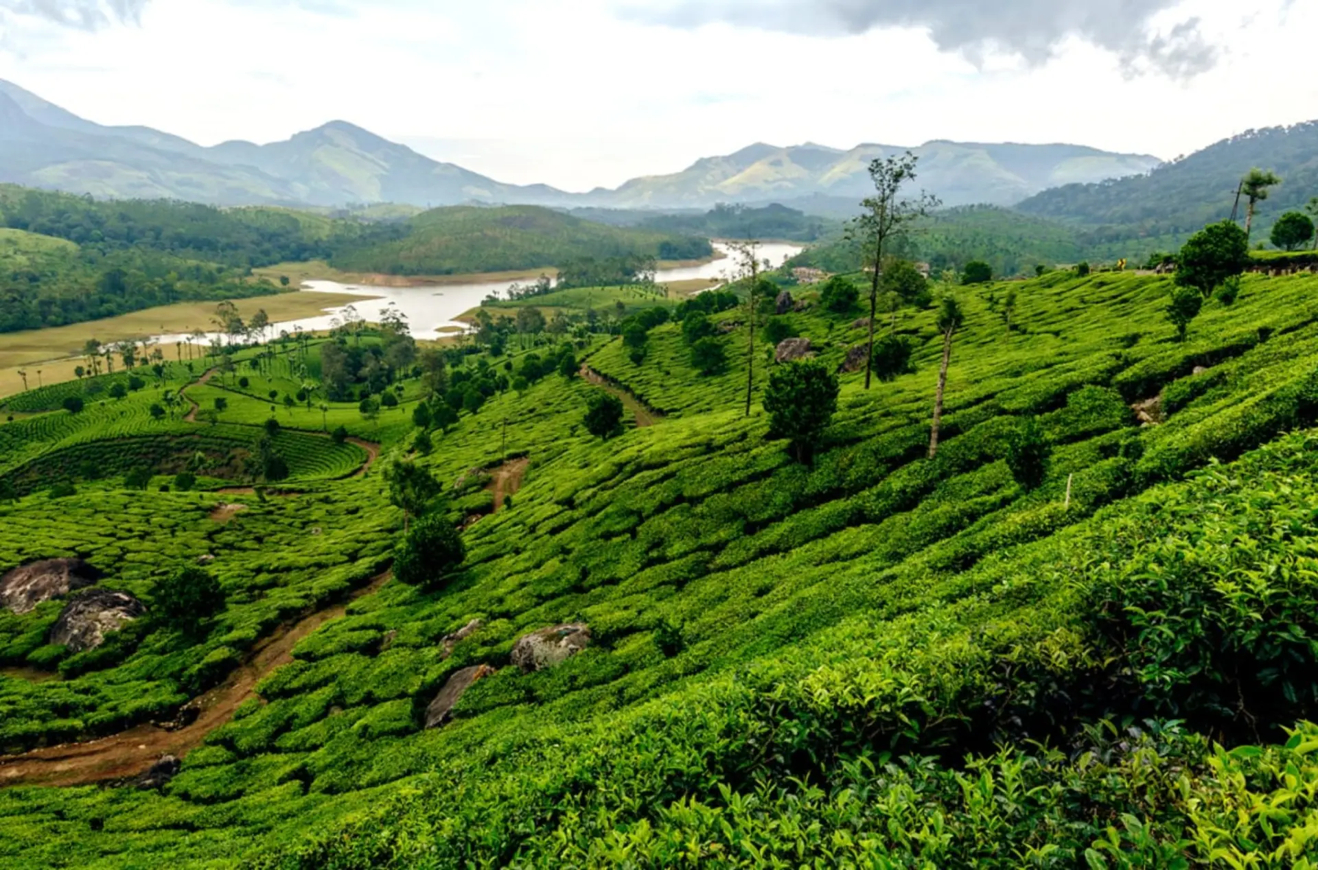 Luxury Kerala Honeymoon Escape with Kovalam Beaches