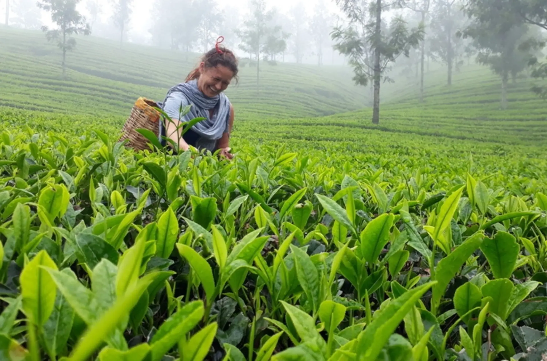 Premium Kerala Romantic Tour with Houseboat Stay