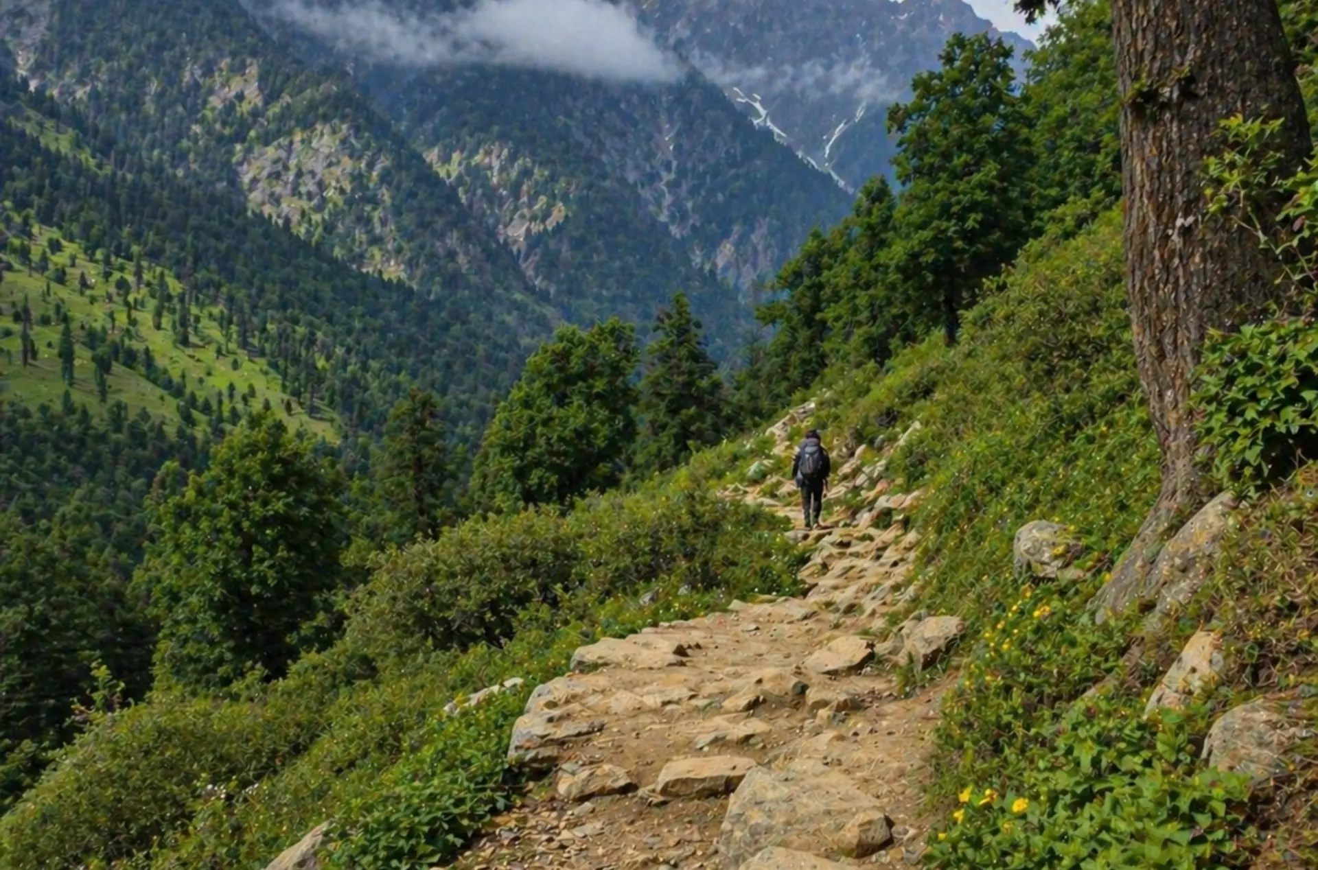 Shimla Manali Volvo Honeymoon Special from Delhi