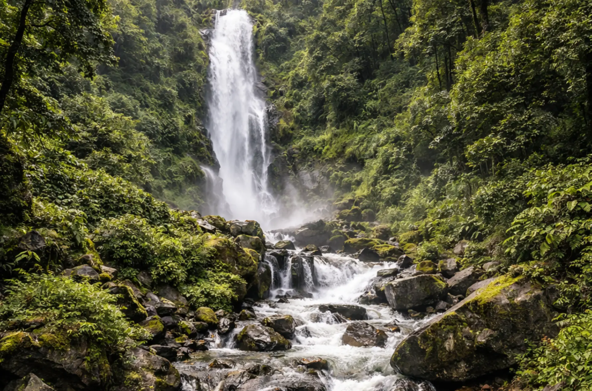 Romantic Gangtok & Lachung Honeymoon Escape