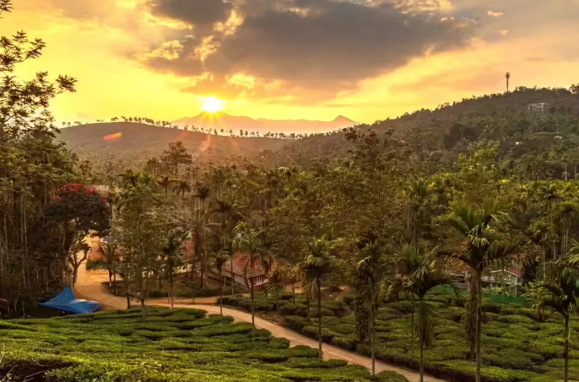Classic Kerala Honeymoon Tour with Houseboat & Safari