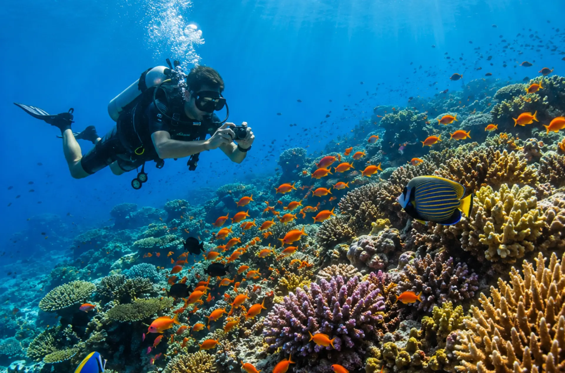An Exciting Maldives Tour Package