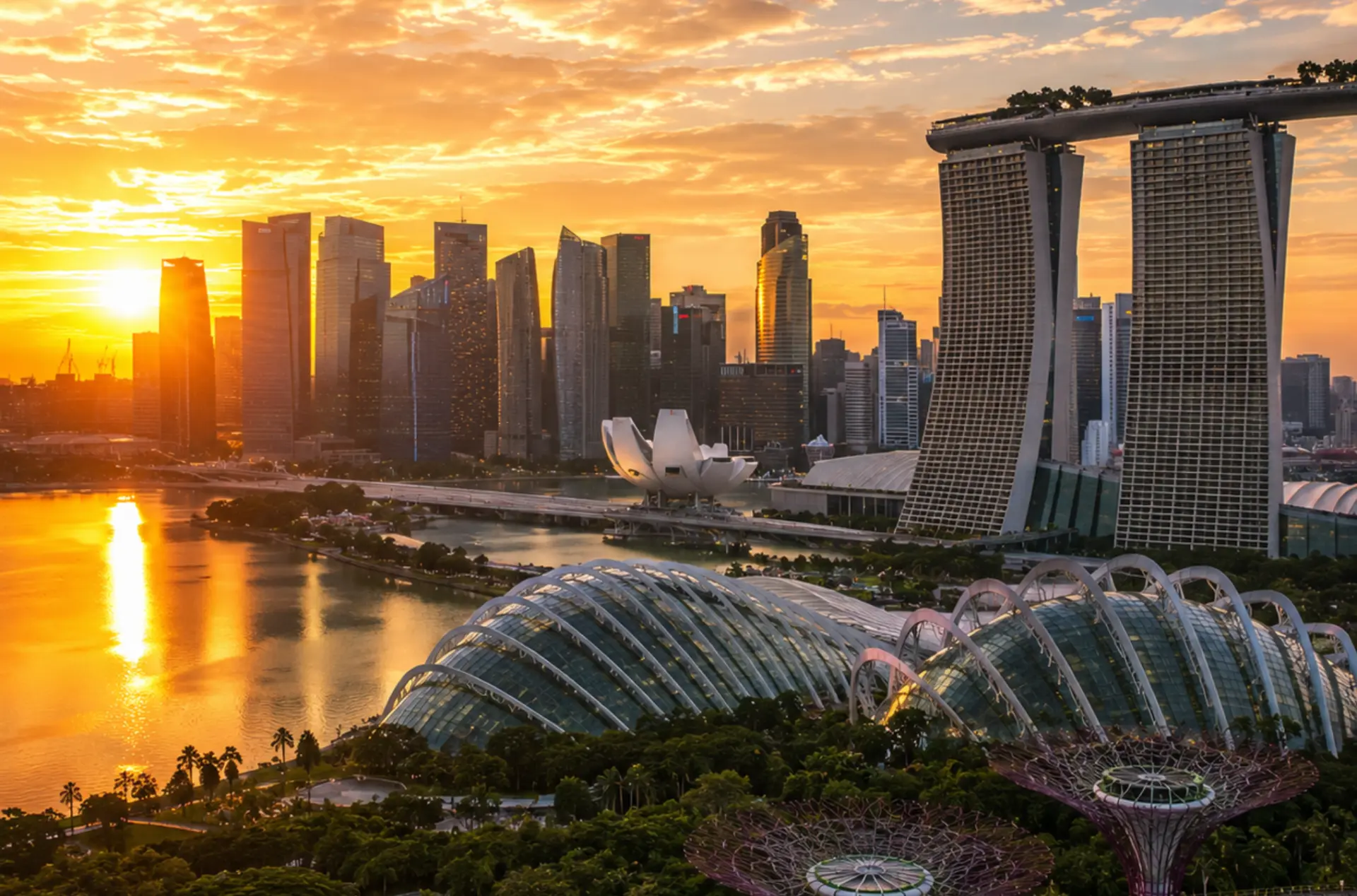 Singapore Cruise Honeymoon Experience with Night Safari & Universal Studios