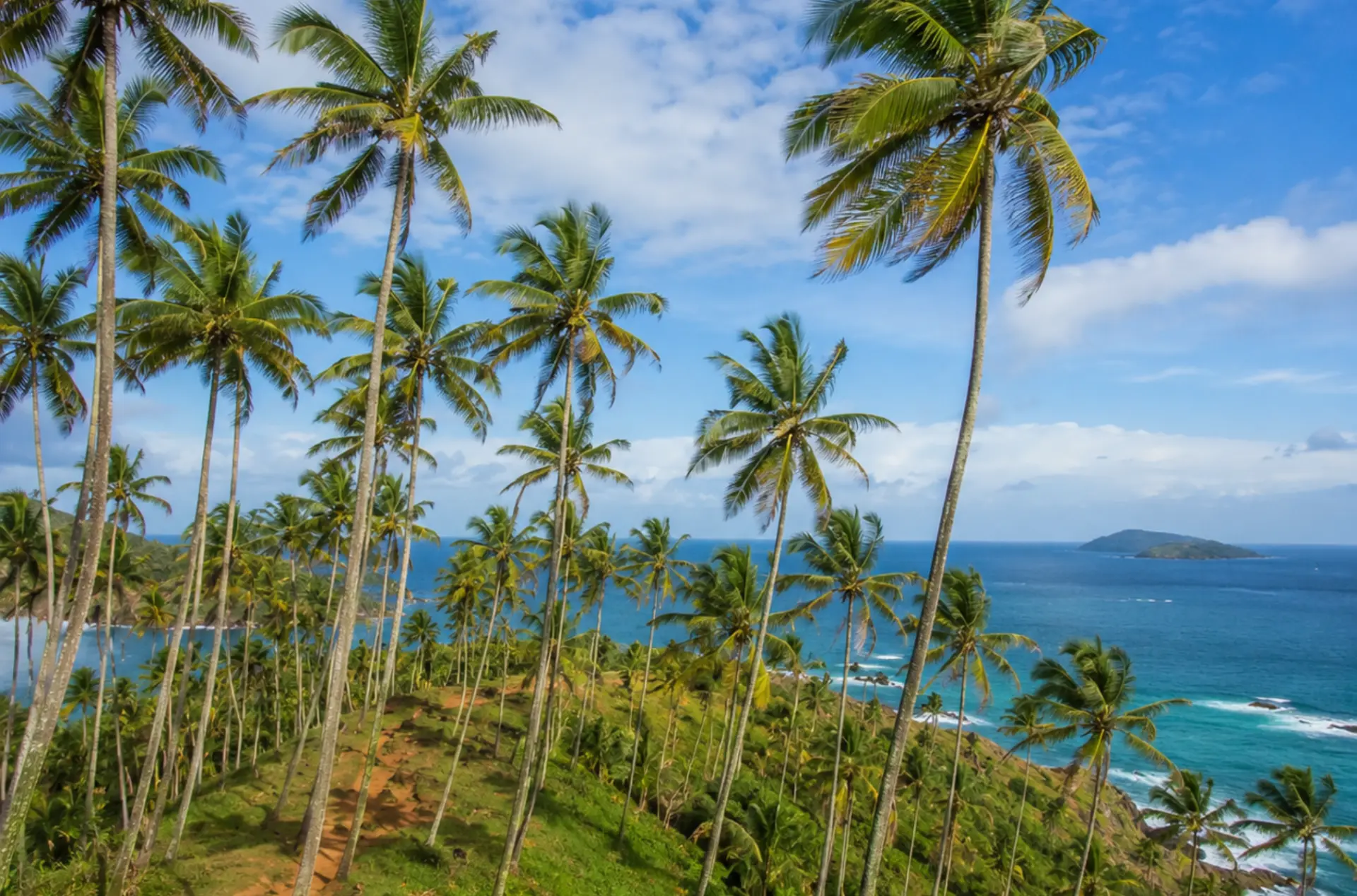 Sri Lanka Romantic Journey for Newlyweds with Private Transfers