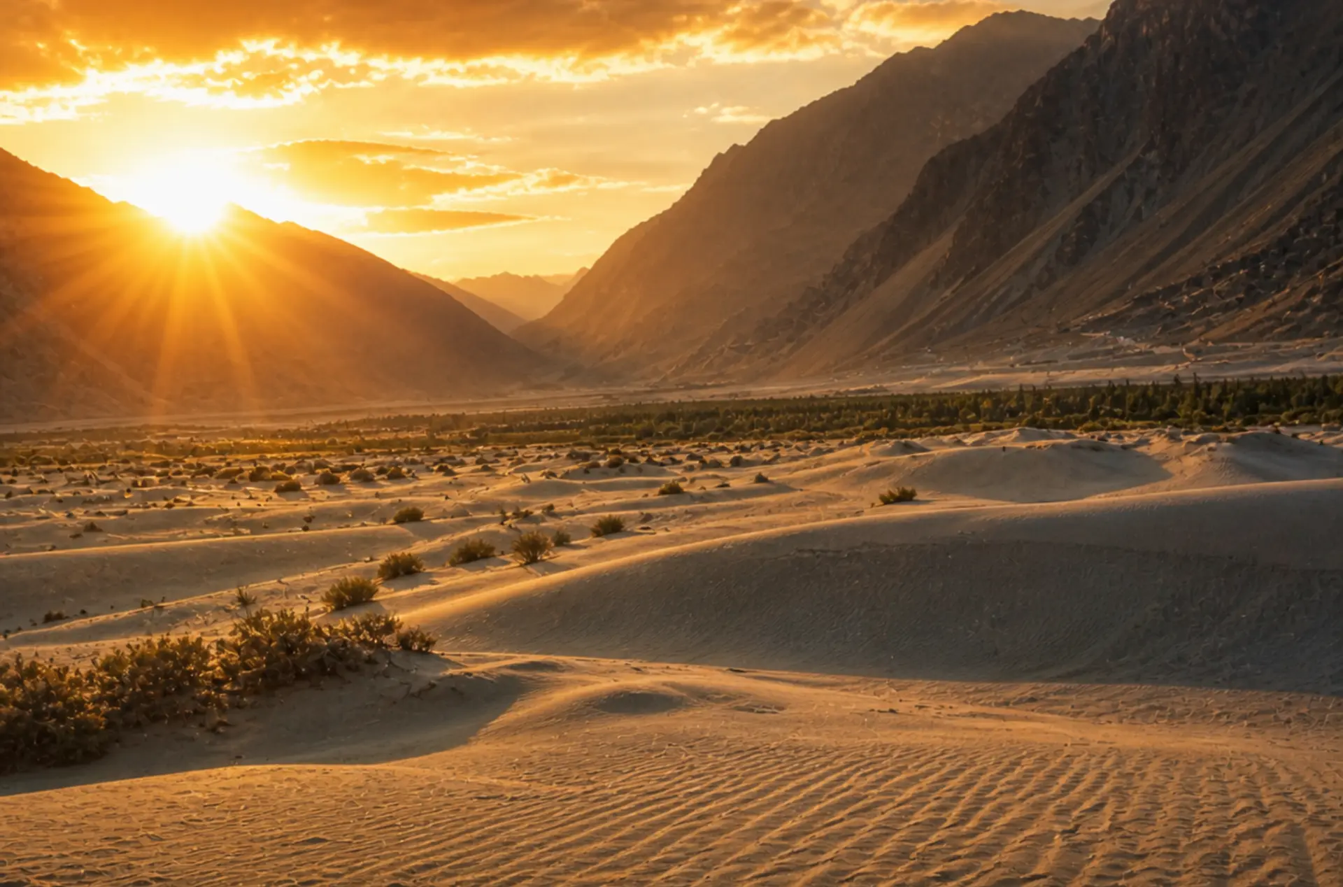 Grand Ladakh Explorer – Premium Hanle, Umling La, Pangong & Tso Moriri Expedition