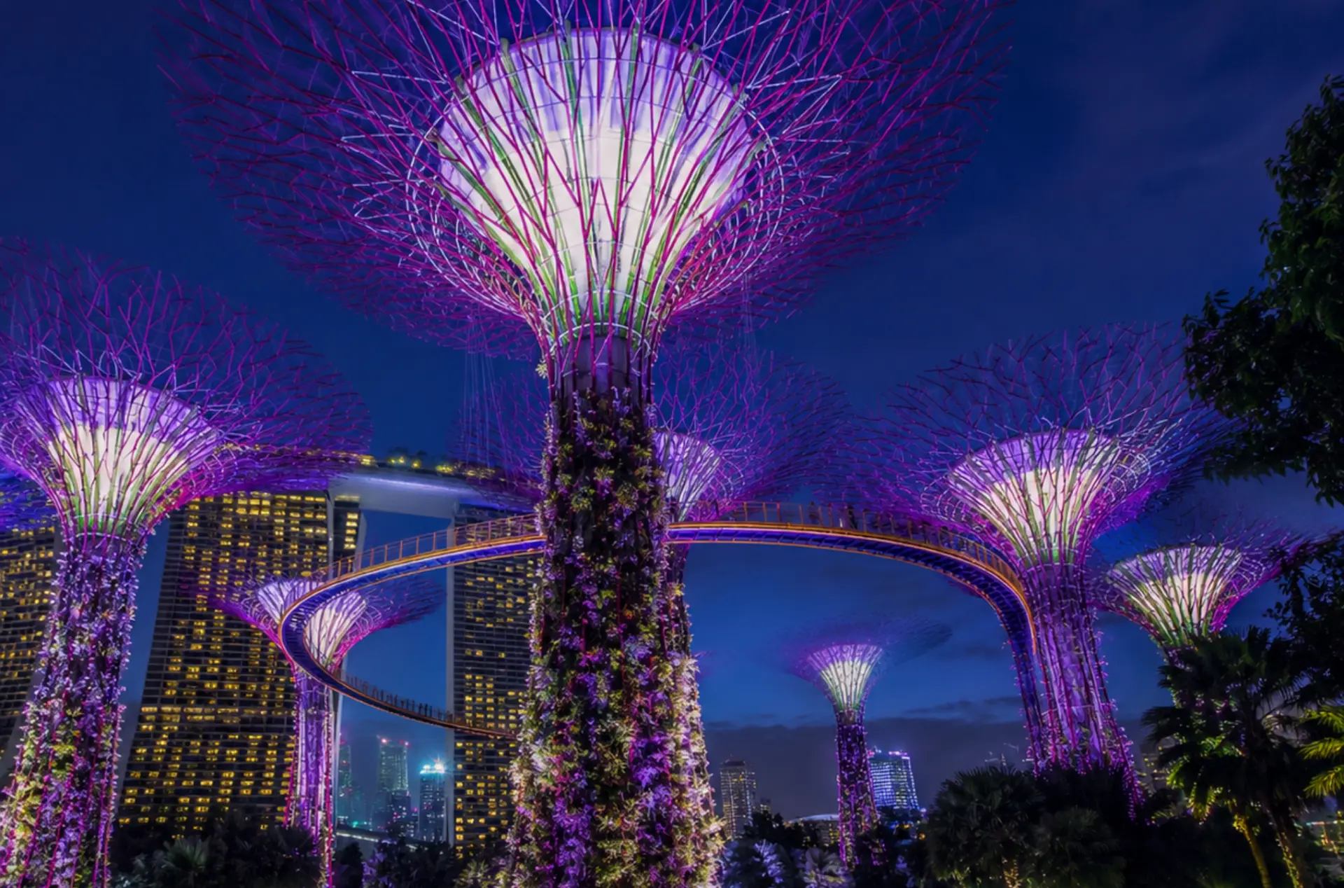 Singapore Cruise Honeymoon Experience with Night Safari & Universal Studios