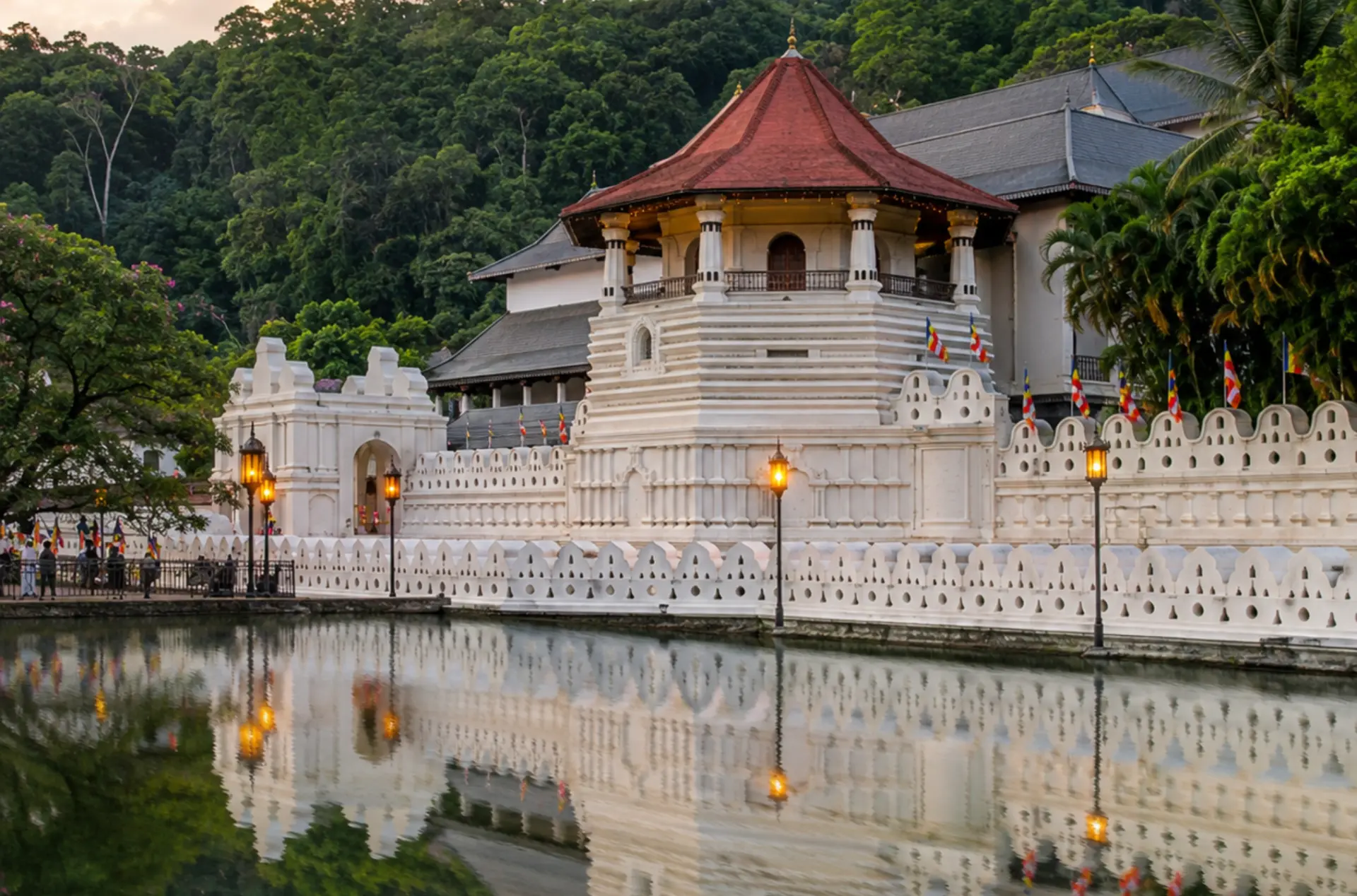 Romantic Sri Lanka Couple Escape with Scenic Sightseeing